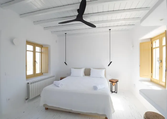 别墅 Mykonos Ag In Psarou Mykonos Town